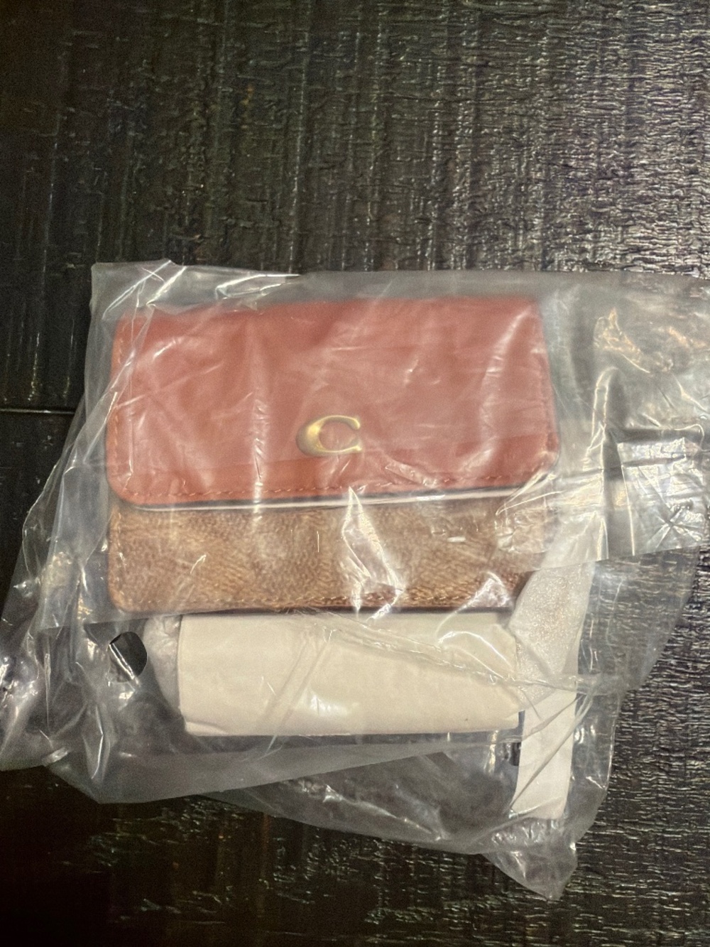 Coach wallet on a chain  NWT